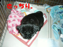 DSCN2535.jpg
