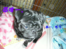 DSCN2536.jpg