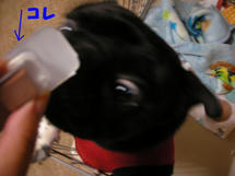 DSCN2542.jpg