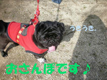DSCN2653.JPG