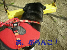 DSCN2649.JPG