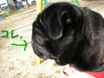 DSCN2662.JPG