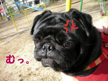 DSCN2661.JPG