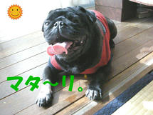 DSCN2678.JPG
