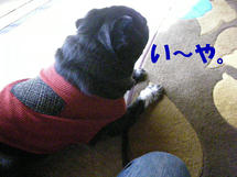 DSCN2679.JPG