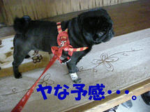 DSCN2698.JPG