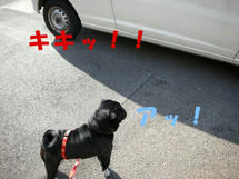 DSCN2701.JPG