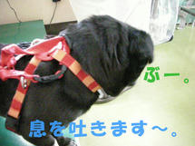 DSCN2703.JPG