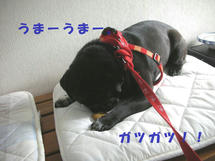 DSCN2708.JPG
