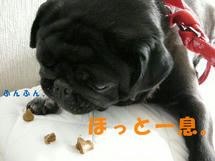 DSCN2709.JPG