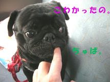 DSCN2712.JPG