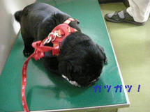 DSCN2704.JPG
