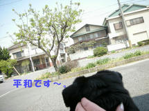 DSCN2831.JPG