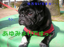 DSCN2673.JPG