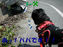 DSCN2826.JPG