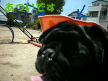 DSCN2845.JPG