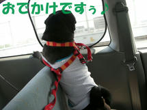 DSCN2878.JPG