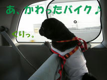 DSCN2879.JPG