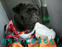 DSCN2885.JPG