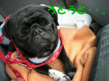 DSCN2889.JPG