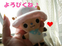 DSCN2969.JPG