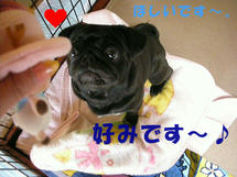 DSCN2970.JPG