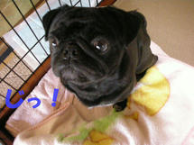 DSCN2971.JPG