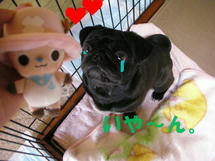 DSCN2972.JPG