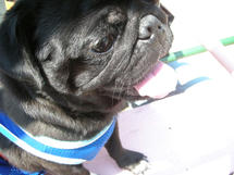 DSCN2864.JPG