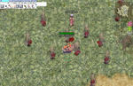 10100702.jpg