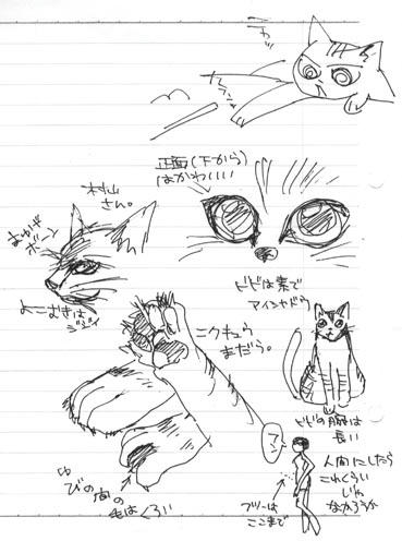 実家の猫