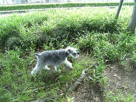 Image320~00.JPG
