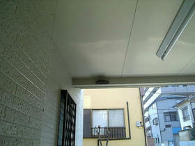 Image362.jpg