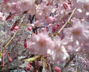 20110412140812.jpg