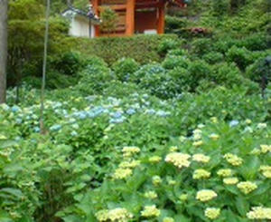 DSC00188.JPG