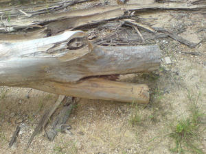 20110919124702.jpg
