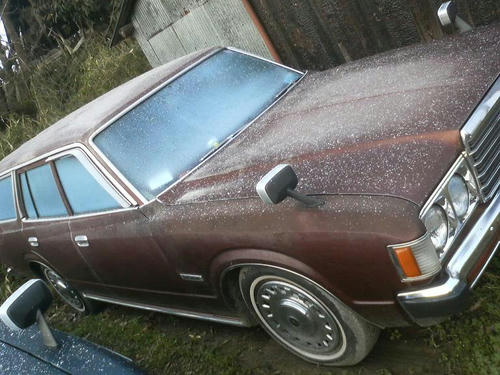 ef557c52.jpeg
