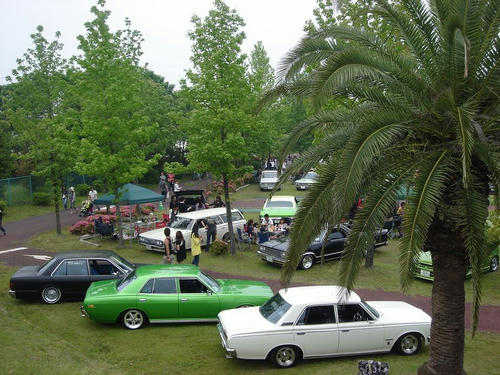 077-2.jpg