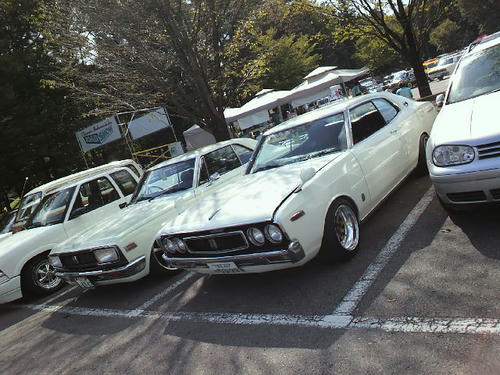 1972b772.jpeg