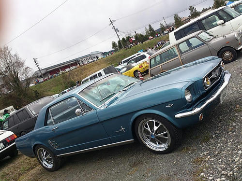 DSC_2459.jpg