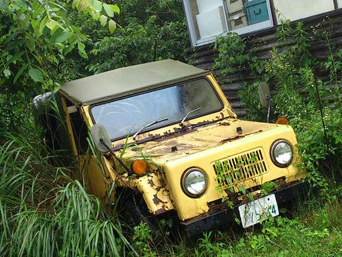 DSC_4293.jpg