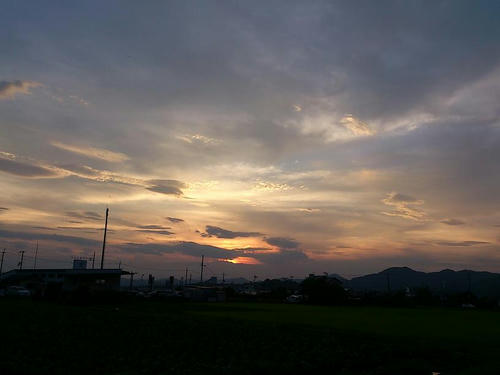 DSC_4326.jpg