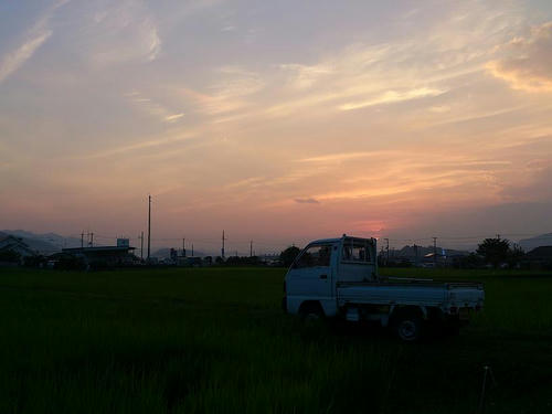 DSC_4351.jpg