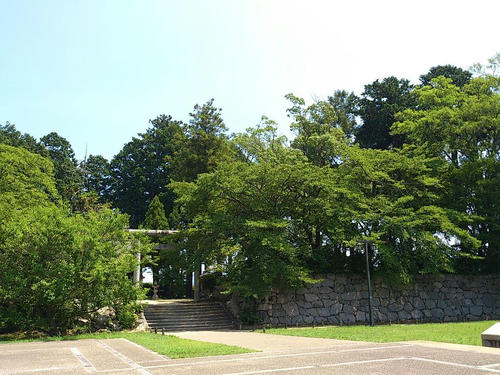 DSC_4616.jpg
