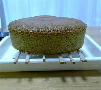 081002cake.jpg