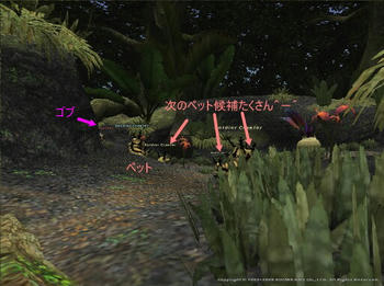 Lra090507223911a.jpg