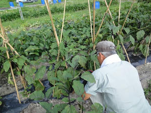 DSC08524.jpg