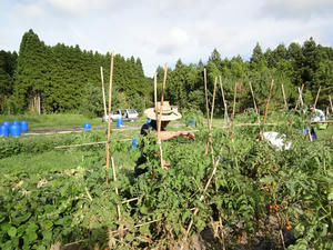 DSC08528.jpg