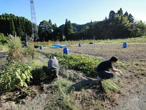 DSC08794.jpg
