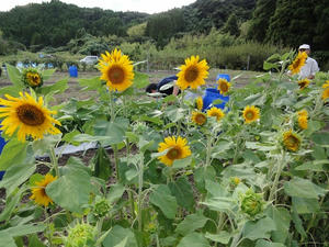 DSC08943.jpg